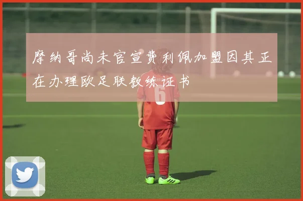 摩纳哥尚未官宣费利佩加盟因其正在办理欧足联教练证书