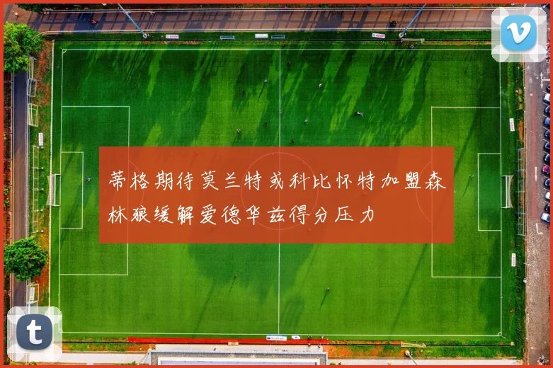 蒂格期待莫兰特或科比怀特加盟森林狼缓解爱德华兹得分压力