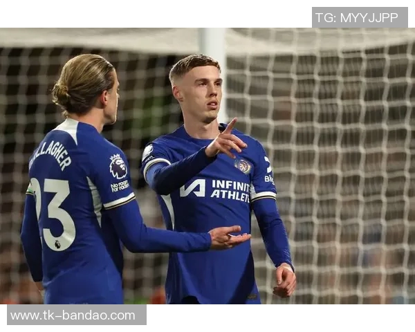 英超联赛禁止球队向姐妹公司出售资产切尔西和埃弗顿被指存在违规行为